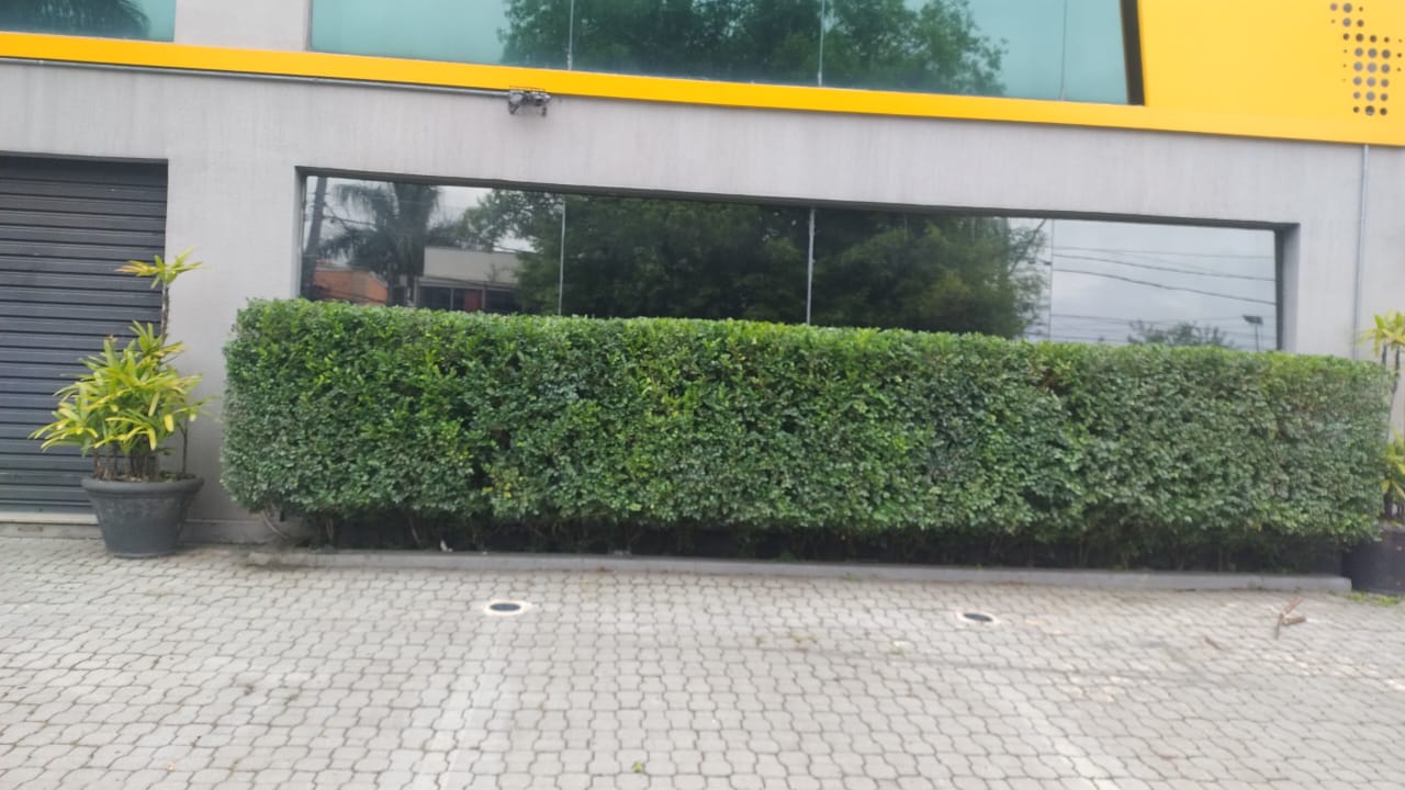 poda